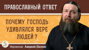 Почему Господь удивлялся вере людей ?  Иеромонах Аверкий (Белов)
