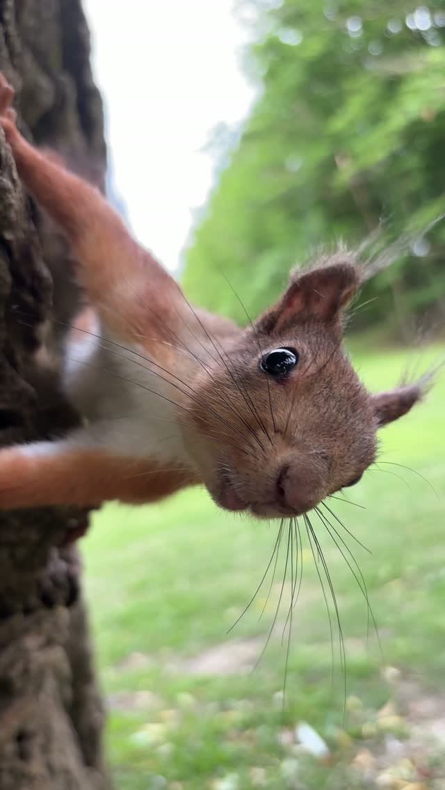 Смешная и милая 😘 Смешная и милая 😘