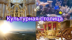 📽Эрмитаж, зоопарк//Котику почти 20 лет//Наша жизнь в гостях #реальнаяжизнь