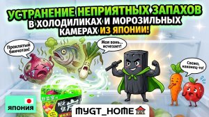 УСТРАНЕНИЕ НЕПРИЯТНЫХ ЗАПАХОВ В ХОЛОДИЛЬНИКАХ И МОРОЗИЛЬНЫХ КАМЕРАХ ИЗ ЯПОНИИ! MYGT_HOME