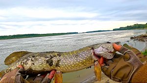 ВОДА ПАДАЕТ РЫБА КАПРИЗНИЧАЕТ рыбалку на щуку, джиг с берега