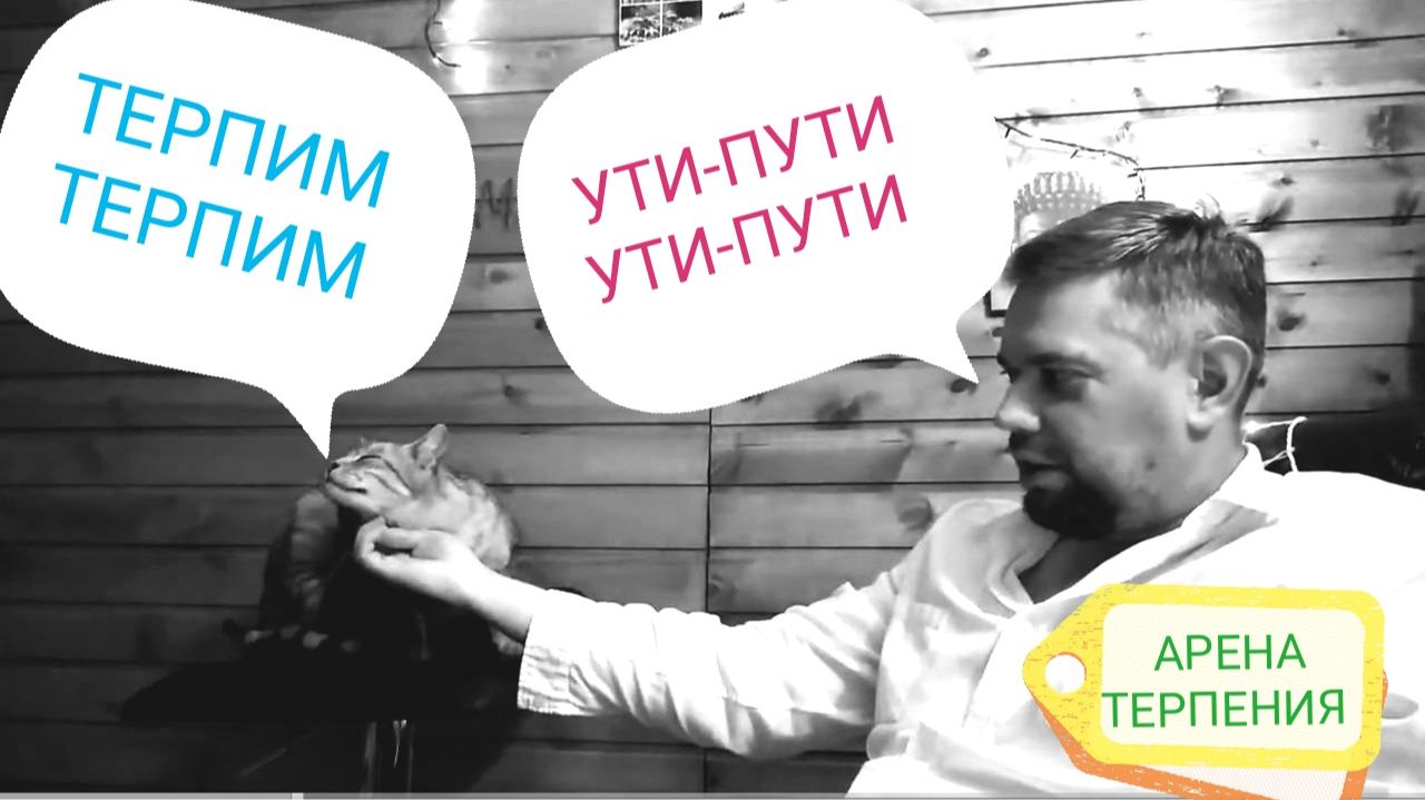 Стрим 📹 В Субботу смотреть онлайн