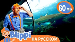 Песня Про Аквариум _ Изучай этот мир вместе с Блиппи _ Обучающие видео для детей _