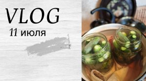 Вишня , огурцы , Бусик