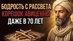 10 дней утреннего настоя по АВИЦЕННЕ, и силы возвращаются с рассвета! Кому за 60