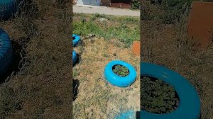 Покраска гаражных ворот первым слоем краской ПФ15 с помощью компрессора и покрасочного письодета