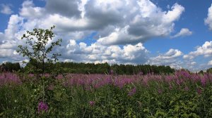 Ухта. Велосипедная прогулка по красивым местам.