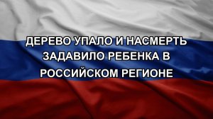 Дерево упало и насмерть задавило ребенка в российском регионе
