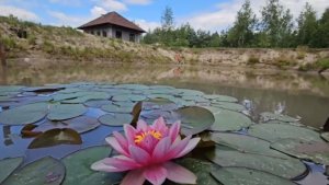 Выживаем на хуторе в дикую жару +39°C! Обустраиваем рабочую зону. Из ОДНОЙ царской рыбы — ДВА блюда!