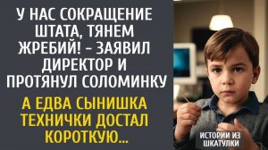 Истории из жизни У нас сокращение штата, тянем жребий! - заявил директор… А едва сынишка технички…
