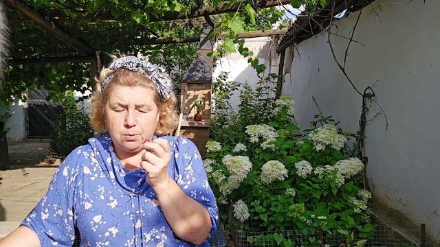 Как зиговали Сафар и Уралка, не забыли их грех смотреть онлайн