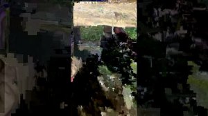 обзор дома бабушки