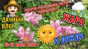 Дачные выходные - Почти половина лета всё 10-12 июля 2026 г