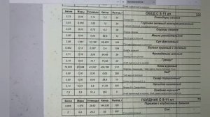Чем кормят Алис в школах