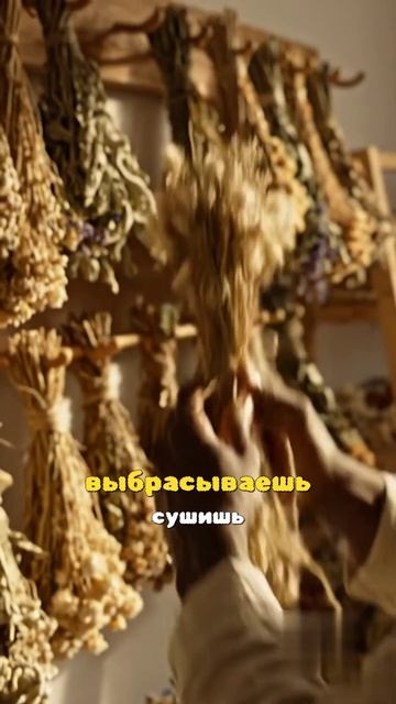 Флорист без списаний: как сухоцветы убирают убытки