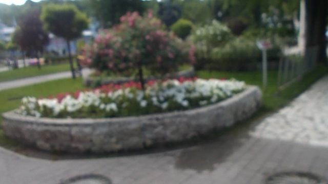 DSCN8697Пятигорск парк Цветник июль 2026 DSCN8697Пятигорск парк Цветник июль 2026