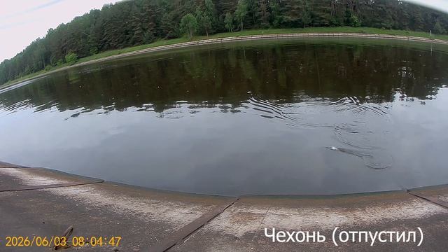 2026.06.03 (5)