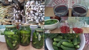 12-07-2026 Занимаюсь заготовками..Чеснок почти весь убрала..ДЖЕМ..Сушу смородину на Чай..