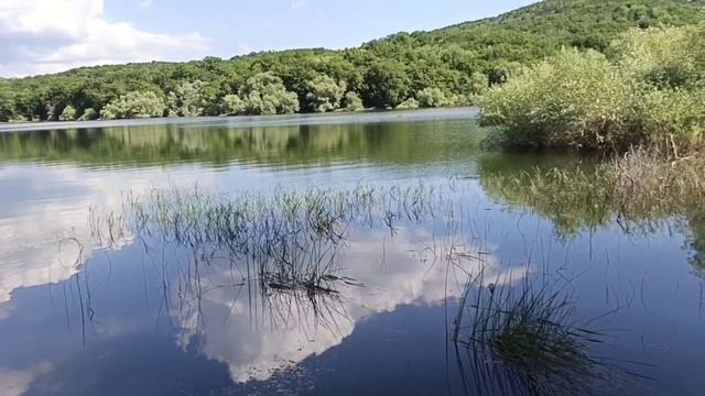органическое земледелие