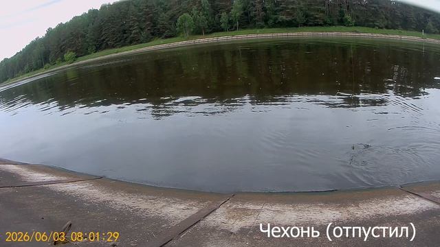 2026.06.03 (4)