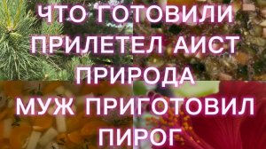Один день из жизни. Что готовили. Прилетел аист. Муж приготовил пирог.