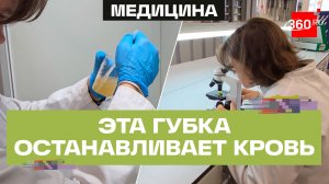 Школьница из Москвы разработала губку, которая останавливает кровотечение