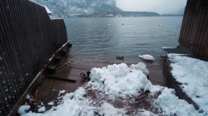 Живописный снегопад над Гальштатом, Австрия - Расслабляющая зимняя прогулка под звуки природы