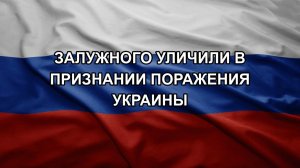 Залужного уличили в признании поражения Украины