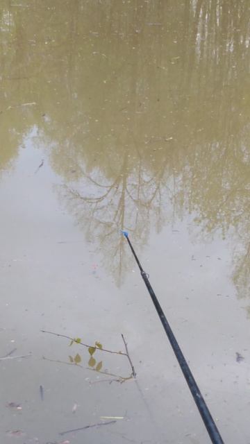 ✔🎣Опять клюёт🐟✔
