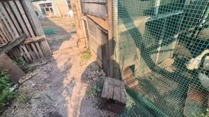с утра приятная покупка/ еще один рывок/ хлопоты домашние