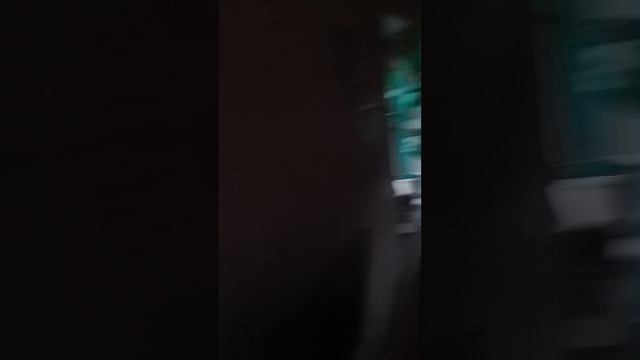 1000039557.mp4