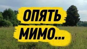 Лайка работает, пока по ежам 🤗😁