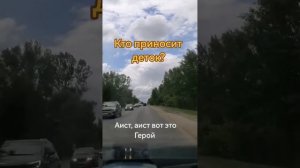 Кто приносит деток ? Песня