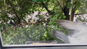 12.07.26г/Кто здесь самый главный?