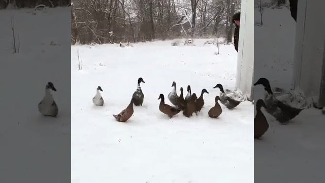 БЫВАЕТ смотреть онлайн