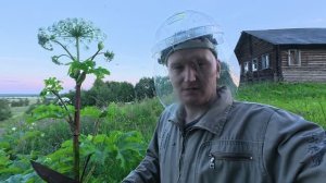 Один день в деревне. Покос травы. Борщевик кругом.
