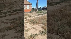 1000053695.mp4