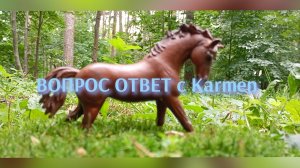 ВОПРОС ОТВЕТ//Отвечаю на ваши вопросы//лошади шляйх//Karmen studio//
