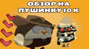 МИНИ-ОБЗОР НА ПУШИНКУ И ЕЁ ИЗВИНЕНИЯ! ПОФИГИЗМ И ХАЙП? Чикен ган/Chicken gun