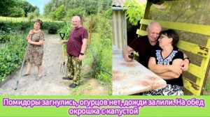 Помидоры загнулись, огурцов нет, дожди залили. На обед окрошка капустой