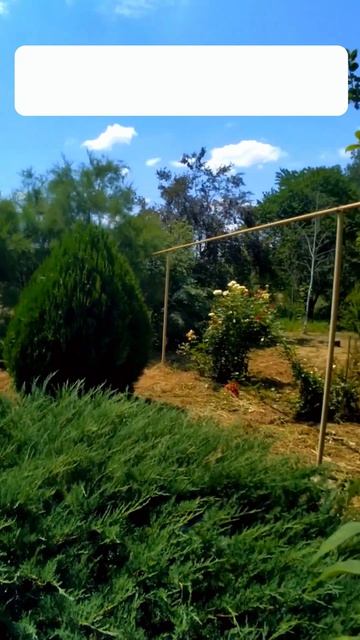 🏡 Райский Домик на Юге🔻 100 м²🦯16 + 30 сот. 💰4 200 000₽📍х. Красная Поляна📲89245404992 Виктор🌴