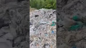 🔴 ⚠️ IMAGINI ȘOCANTE LA CRIULENI
