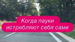 Призывают к состраданию, но сами радуются трагедиям? Разбираем видео. #украина #россия