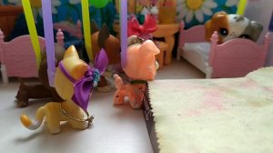 LPS реалити-шоу первый выпуск