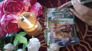 Что решил по поводу вас? Расклады таро, гадание на картах.💘
