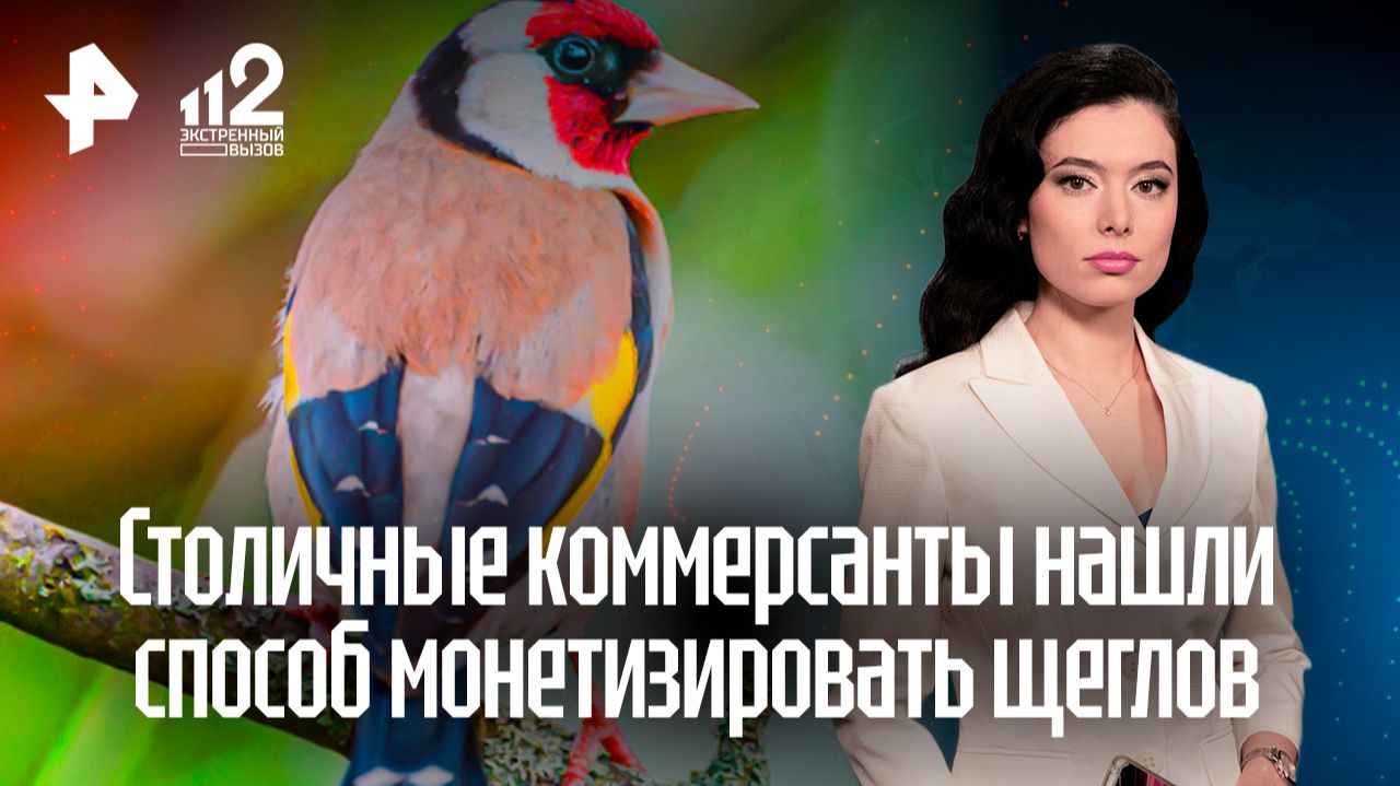 Московские продавцы-нелегалы открыли сезон охоты на щеглов смотреть онлайн