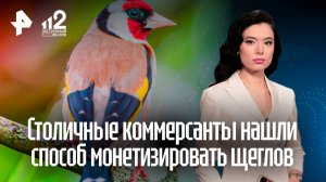 Московские продавцы-нелегалы открыли сезон охоты на щеглов