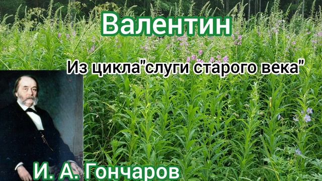Аудиорассказ "Валентин"из цикла" слуги прошлого века "Гончаров И. А.