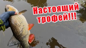 ПОЙМАЛ ХРАНИТЕЛЯ ПЕРЕКАТА!!! ГДЕ ИСКАТЬ И КАК ЛОВИТЬ ГОЛАВЛЯ!? НОВЫЙ РЕКОРД В КОПИЛКЕ!!!
