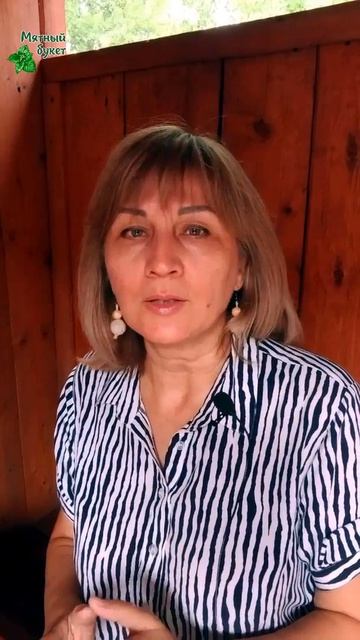Фальшивые смородиновые мяты.